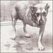 Alice in Chains