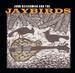 John Reischman and the Jaybirds