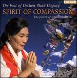 Spirit of Compassion
