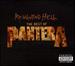 Reinventing Hell: The Best of Pantera