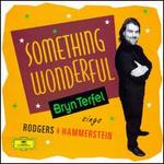 Something Wonderful: Bryn Terfel Sings Rodgers & Hammerstein