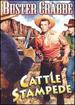 Cattle Stampede