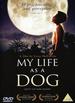 My Life as a Dog