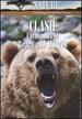 Nature: Clash - Encounters of Bears and Wolves