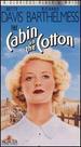 The Cabin in the Cotton
