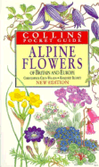 Alpine Flowers