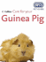 Care for Your Guinea Pig (Rspca Pet Guides)