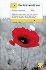 Teach Yourself the First World War