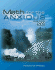 Math for the Anxious: Building Basic Skills