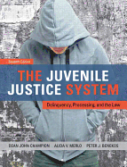 The Juvenile Justice System: Delinquency, Processing, and the Law, Fourth Edition Dean John Champion