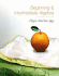 Beginning & Intermediate Algebra