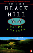 On the Black Hill