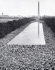 The National Experience: A History of the United States