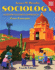 Sociology: A Down to Earth Approach Core Concepts, Census Update