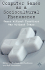 Computer Games as a Sociocultural Phenomenon: Games Without Frontiers, Wars Without Tears