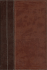 Archaeological Study Bible-NIV: An Illustrated Walk Through Biblical History and Culture