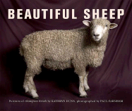 Beautiful Sheep: Portraits of Champion Breeds
