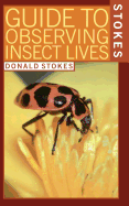 Guide to Observing Insects