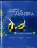 Elementary & Intermediate Algebra: Concepts & Applications
