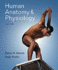 Human Anatomy & Physiology