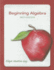 Beginning Algebra