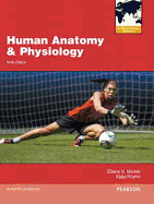 Human Anatomy & Physiology