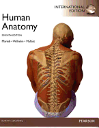 Human Anatomy