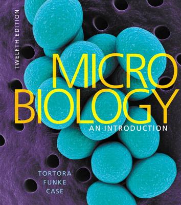 study in foundations guide microbiology