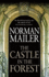 The Castle in the Forest