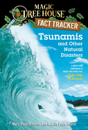 Tsunamis and Other Natural Disasters: A Nonfiction Companion to High Tide in Hawaii