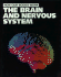 The Brain and Nervous System