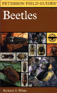 Beetles: A Field Guide to the Beetles of North America