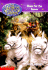 The Secrets of Droon #10: Quest for the Queen: Quest for the Queen