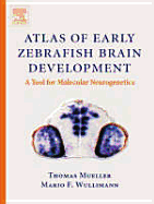 Atlas of Early Zebrafish Brain Development: A Tool for Molecular Neurogenetics Dr. Thomas Mueller, Mario Wullimann, Thomas Mueller and Mario F. Wullimann