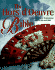 The Hors D'Oeuvre Bible
