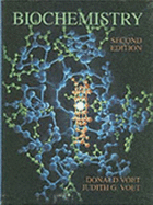 Biochemistry: AND FOB 2002 Supplement
