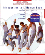 Introduction to the Human Body
