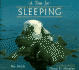 A Time for Sleeping