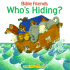 Who's Hiding?
