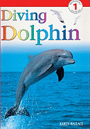 Diving Dolphin