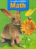 Houghton Mifflin Math