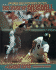 The Story of Baseball