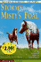 Stormy: Misty's Foal
