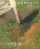 Gardening 101: Creating Your First Garden