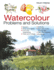 Watercolour Problems and Solutions: A Trouble-shooting Handbook