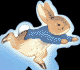 Peter Rabbit Giant Shaped Board Book