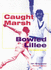 End of Play-Caught Marsh Bowled Lillee