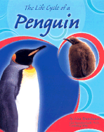 The Life Cycle of a Penguin