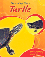 The Life Cycle of a Turtle