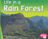 Life in a Rain Forest